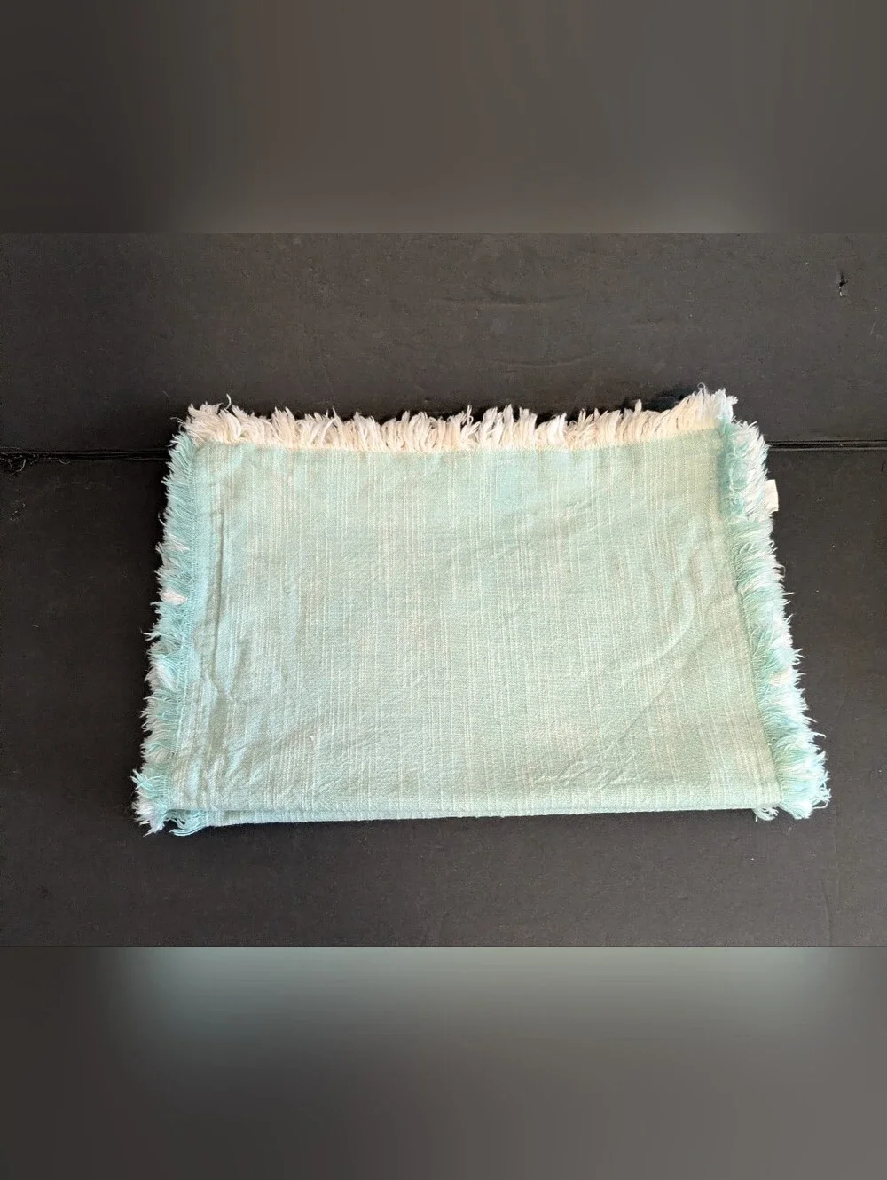 Pier 1 Imports Light Aqua Fringed Linen Cotton Placemats Bundle 3